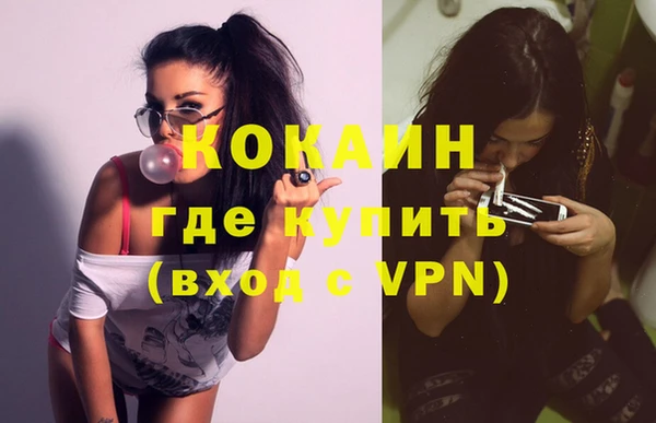 индика Вязники