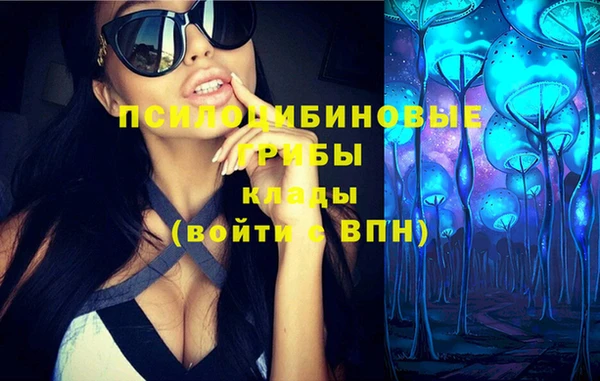 экстази Вяземский