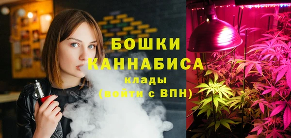индика Вязники