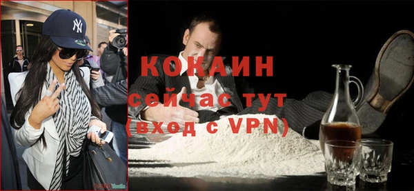 индика Вязники
