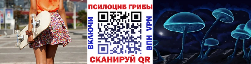 Купить где  Кузнецк  Галлюциногенные грибы мицелий 